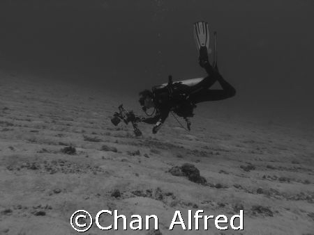 Maldives by Chan Alfred 