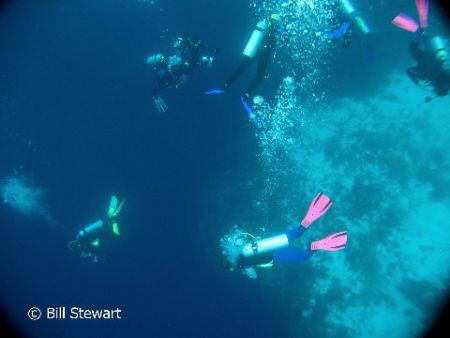 "Free Fall"  Divers dropping down to the top of the wall ... by Bill Stewart 