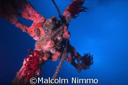 Spiritual guidance  in Tioman....  by Malcolm Nimmo 