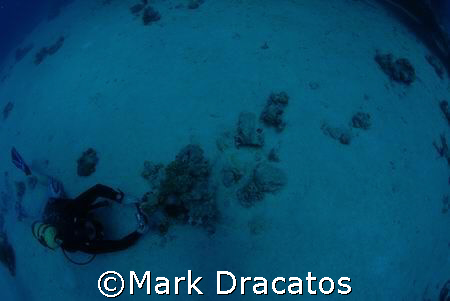 Bryan, a friend of mine diving in the big fish bowl. by Mark Dracatos 