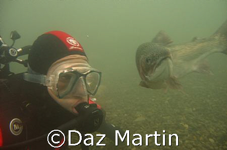 A trout posing for this shot Capernwray 2007 by Daz Martin 