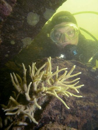 You neednt have the sea to see "corals". This was taken i... by Alena Vorackova 