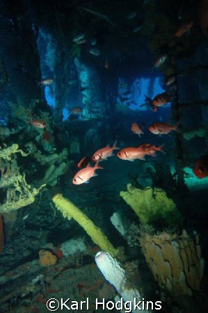 The Space Within
Wreck Lesleen is off Tai Kaye Village S... by Karl Hodgkins 