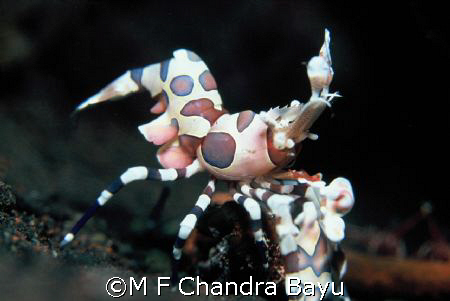 Seraya, Tulamben by M F Chandra Bayu 