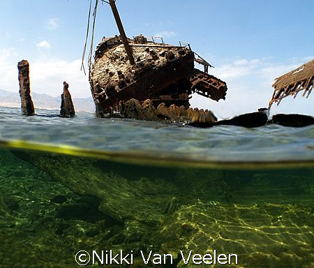 Maria Schroeder wreck (ex Rolf jarl) taken at Nabq Park w... by Nikki Van Veelen 