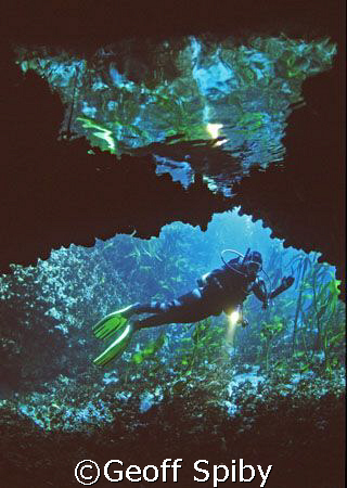 a diver reflected in an air bubble on the roof of this ca... by Geoff Spiby 