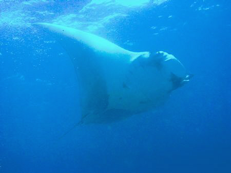 Taken at the Similan Islands, Phuket, Thailand by Dennis Siau 