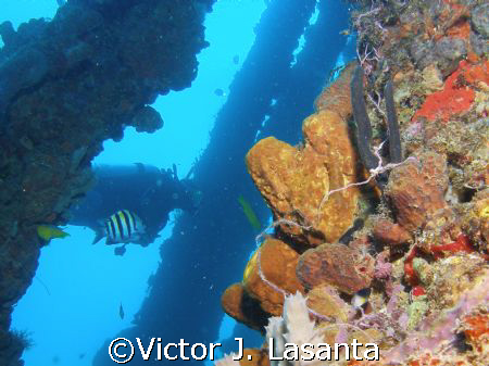 a good day in crash boat, nice visibility!!!!! by Victor J. Lasanta 