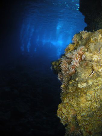Looking in the Saipan Grotto by Martin Dalsaso 