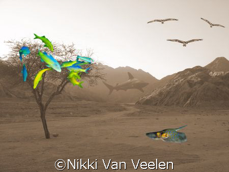 Sinai desert scene.... by Nikki Van Veelen 