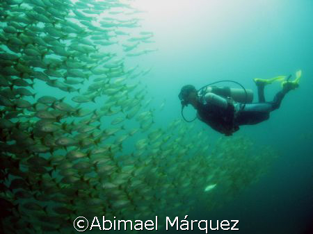 "El Flaco", Punta Gorda, North Pacific, Costa Rica by Abimael Márquez 