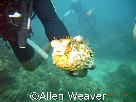Negril Jamaica by Allen Weaver 