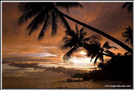 Yellow submarine Alona beach Philippines D200/12-24 mm by Yves Antoniazzo 