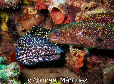 "Harmony", Mona Island, Puerto Rico by Abimael Márquez 