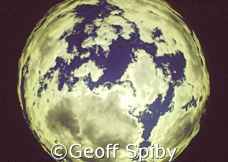 the blue planet
taken from the bottom of a pool in a mou... by Geoff Spiby 