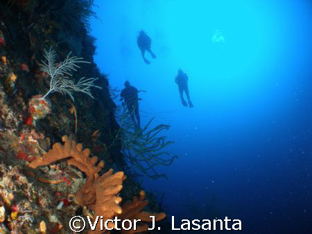 deep blue  view of john , rodney and roxanna  close to fa... by Victor J. Lasanta 