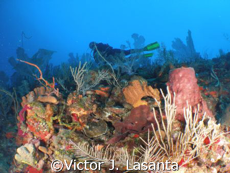  nice view!! at a new site close to falling rock in pargu... by Victor J. Lasanta 