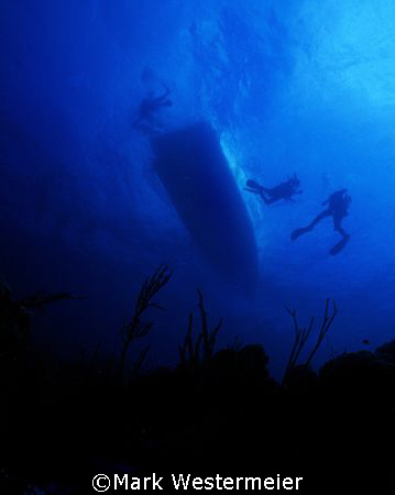 Ascent - Image taken in Providenciales with a Nikonos V, ... by Mark Westermeier 