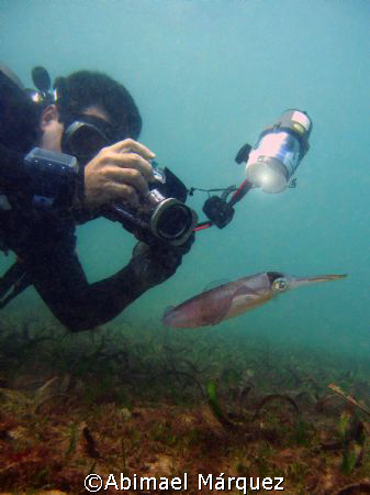 Juan and The Caribbean Reef Squid, El Escambrón, Puerto Rico by Abimael Márquez 