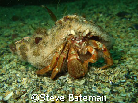 taken at St Aabbs with a fuji f30 on micro with internal ... by Steve Bateman 