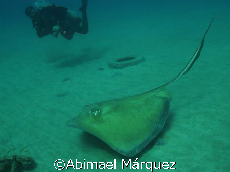 My first dived of 2008, Crash Boat, Aguadilla, Puerto Rico by Abimael Márquez 