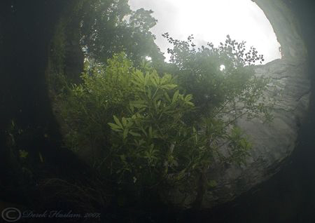 Snell's window. Vivian quarry. D200, 10.5mm. by Derek Haslam 