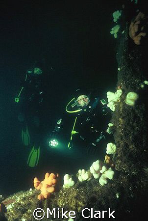 Wreck Divers 30 metres down on the wreck of the Primrose.... by Mike Clark 