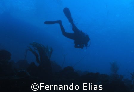 Going down to take a look !! by Fernando Elias 