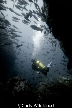 Cocos, 2007. by Chris Wildblood 