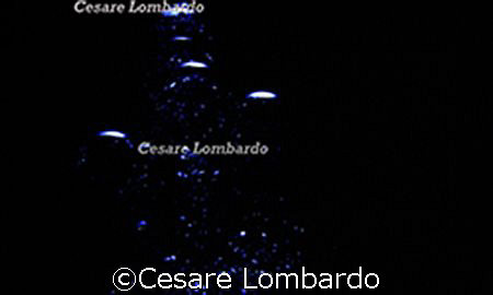 Mediterranean Sea
Bubbles by Cesare Lombardo 