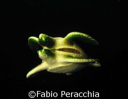 Upside down by Fabio Peracchia 