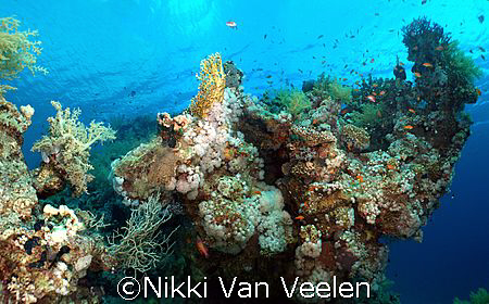 This is image might look ordinary but it consists of 3 di... by Nikki Van Veelen 