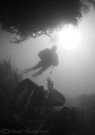 Mr T. North Wales. D200, 10.5mm. by Derek Haslam 