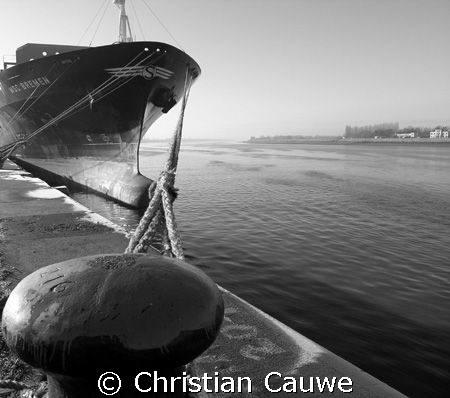 Shelde, Antwerp by Christian Cauwe 