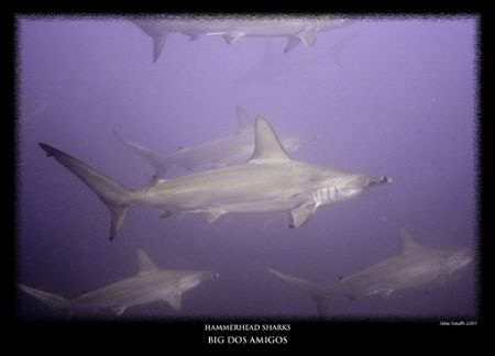 just a typical view at cocos by Stewart Smith 