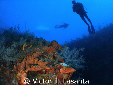 rodney,gaby and the boat in old bouy dive site at pargue... by Victor J. Lasanta 