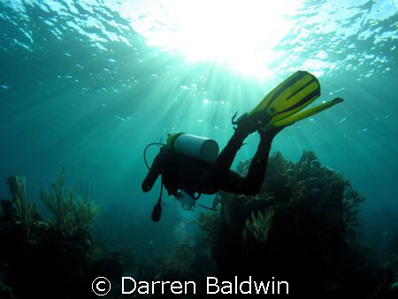 Taken with a Canon A540 and DC2 housing, using an Inon UW... by Darren Baldwin 
