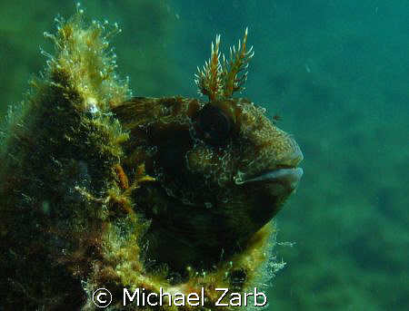 Xat l'ahmar, gozo, malta by Michael Zarb 