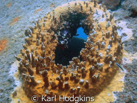 The wreck was a tug boat that was caught up in a storm by Karl Hodgkins 
