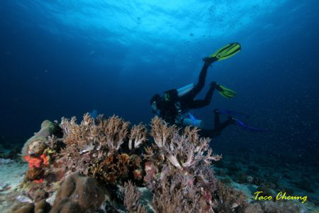 Father & son at Malapascua by Taco Cheung 