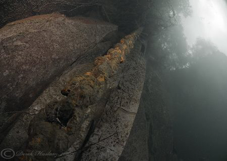 Chain. Vivian quarry. North Wales. D200, 10.5mm. by Derek Haslam 