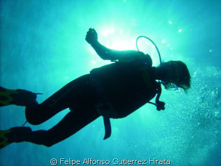 sun and diver taked with dsc-600 sea-life by Felipe Alfonso Gutierrez Hirata 
