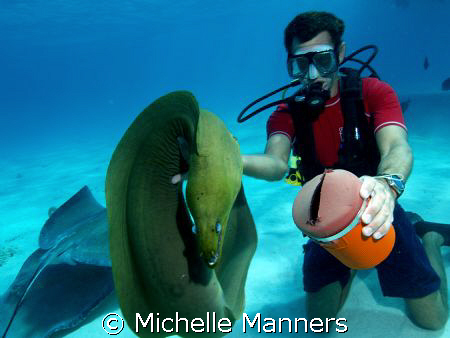 Dive Master of Sunset Divers at Stingray City. The reside... by Michelle Manners 