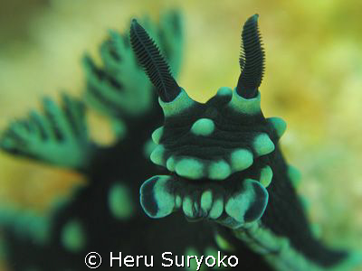 nembrotha portrait by Heru Suryoko 