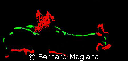 LUMINOUS/Original idea is to put this nudi on a black pla... by Bernard Maglana 