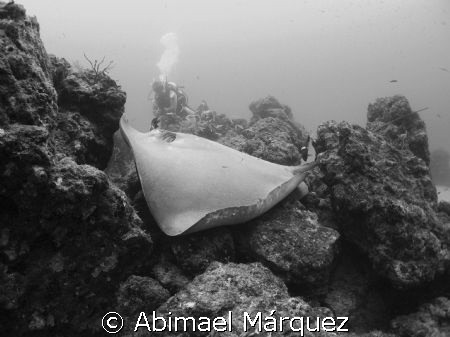 Cleaning Station, Isla del Caño by Abimael Márquez 