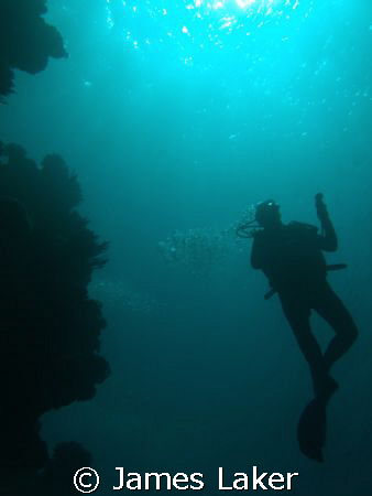 Ilike this shot of a diver off shark observatory in Sharm. by James Laker 