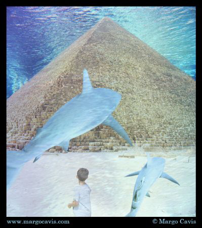 Pyramid underwater.  by Margo Cavis 