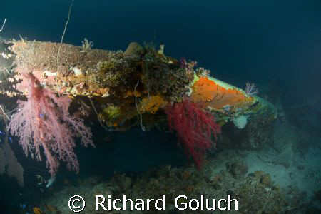 Betty bomber-Truk Lagoon-"Wing in Paradise" by Richard Goluch 
