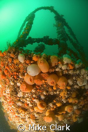 Bow of the wreck Unity, Scotland by Mike Clark 